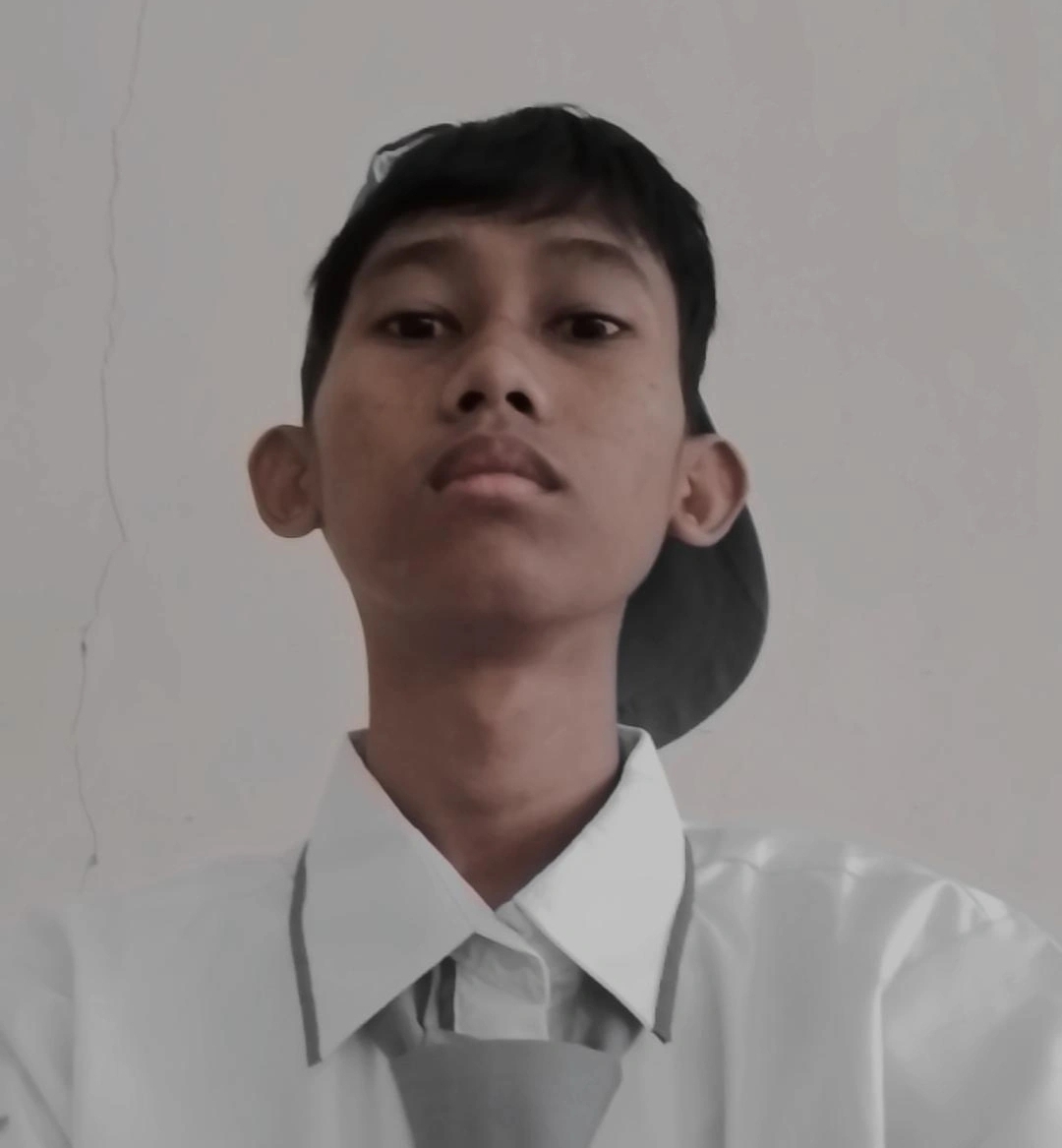 Aldi Fauzi